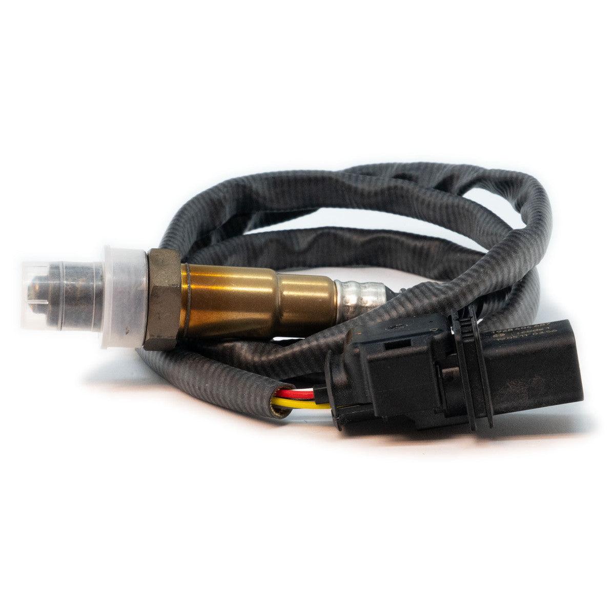 Link ECU CAN Lambda Convertor Module (CANLAM) & 4.9LSU Wideband Sensor - CDMSPORT