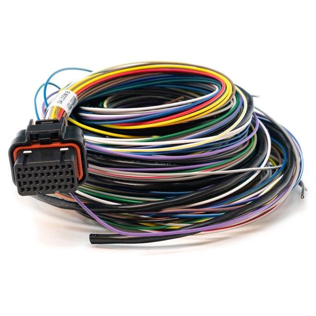 Link ECU Terminated Wire In Loom B - CDMSPORT