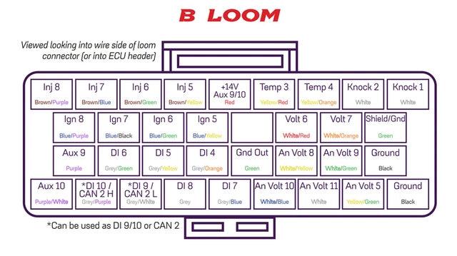 Link ECU Terminated Wire In Loom B - CDMSPORT