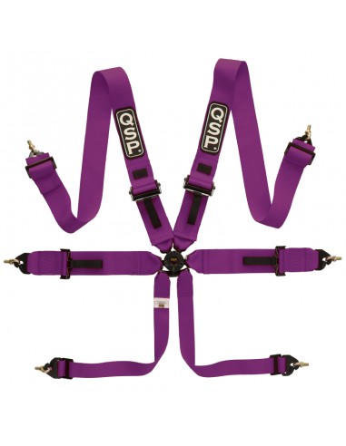 QSP 6 Point Safety Harness 3" FIA (Purple) - CDMSPORT