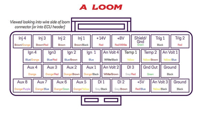 Link ECU Terminated Wire In Loom B