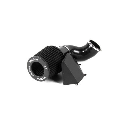 RamAir Performance Pleated Induction Kit for BMW M2 M3 M4 3.0T S55