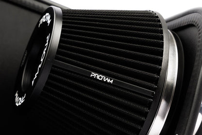 RamAir Performance Pleated Induction Kit for BMW F Series 1.6 N13